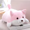 Niedlicher fetter Shiba Inu Hund Plüschtier, gefüllte weiche Kawaii Tierpuppen Cartoon 3804 Kissen, schönes Geschenk für Kinder, Babys, Kinder, gute Qualität