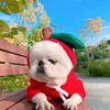 犬のアパレルコスチュームかわいいペット服フルーツコスプレ秋の冬猫家パジャマ子犬フーディーコート320R