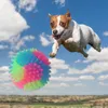 Small Animal Supplies LS Sizelight Up Dog Balls clignotant une balle élastique chiens LED Couleur de animaux de compagnie Light Interactive Toys for Puppy4834699