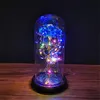 Galaxy Rose Fleurs clignotantes dans un dôme en verre pour la Saint-Valentin, la fête des mères, un cadeau d'anniversaire, une décoration de mariage, des couronnes décoratives