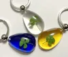 9 pcs real four leaf clover Keychain Mixed Colorful Charming cool Specimen