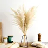 Pampas Decor Decor Białe kolor puszysty naturalne suszone kwiaty Bielerzone bukiet boho vintage styl na wesele dom do domu świąteczny 232W