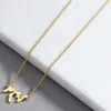 Michigan Lake Lady Necklace Lady Clavicle Chain Acciaio in acciaio inossidabile Piatto Michigan USA Collane souvenir229D