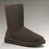 Ugly skor australiensiska stövlar kvinnor ug vinter varm furry satin snö boot ankel booties päls läder utomhus bowtie sko EUR36-41 US5-US10