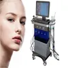 Salon 11 en 1 machine faciale HYDRA Dermabrasion cutanée Nettropie du visage Ultrasons RF Hydro Microdermabrasion Oxygène Gun