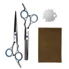 Hairdressing Scissors Professional Set 6 Inch Japan 440C Hairdressers 220125