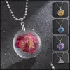 Hängsmycke Halsband Hängsmycken Smycken Naturlig Torkad Blomma För Kvinnor Transparent Resin Real Dry Round Gift Drop Leverans 2021 L8ZE0