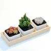 New3 Siatki Doniczki Doniczka Tray Drewniane Soczyste Plant Mięsiste Flowerpot Pojemniki Home Decor EWB7029