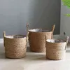 large indoor plant pots