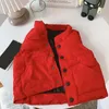 Barn Waistcoat Jackor Västar Tjejpojkar Coats Classic Letter Vest Down Jacket Baby Tonåring Kläder Ytterkläder Barnrock Topp 5 Färg Partihandel