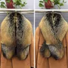 Luxury Genuine Fox Fur Scarf Real Fox Skin Scarf Big Size Natural Fox Fur Shawl Winter Women Stole Y01131424114