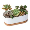 Ovale witte keramische succulente bloempotten groene plant pot met bamboestandaard kleine bonsai potten plantenbakken