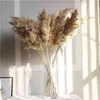 Fleurs de mariage de couleur claire Bouquet de fleurs de pampas séchées naturelles Belle fleur de roseau Décoration de Noël Phragmites 210831