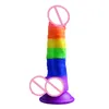 Godes réalistes en silicone colorés pour adultes, jouets doux pour adultes, grosse bite, vagin étanche, masturbation féminine, point G, pénis pour femmes et couples