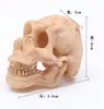 Wholesale Party Decoration 1.8 inch Resin Skull Head Small craftmanship Terrifying Skeleton Ornament Halloween Prank Props Favors Toys DIY Gift Accessary KD1