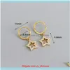 Earrings Jewelry100% 925 Sier Gold Color Star With White Bright Zircon Crystal Stone Hoop Earring For Women Penfientes Ear Piercing & Hie Dr
