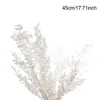 Dekorativa blomsterkransar 50 g Torkade för evigt konserverade Ruscus DIY Blomdekoration Torr zigenarblommorbukett för hembröllopsinredning