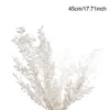 Couronnes de fleurs décoratives 50g séchées pour toujours préservées Ruscus bricolage décoration florale bouquet de fleurs gypsophiles sèches pour la maison Weddi2819