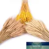 Decorative Flowers & Wreaths 100pcs Artificial Wheat Ears Natural Dried Grain Bouquet For Wedding Decoration DIY Crafts Scrapbook Home Bouqu Factory price expert