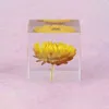 Hars Rose Daisy Cube Paardebloem Kristallen Glas Presse-papier Echte Natuurlijke Plant Specimen Feng Shui Bloemen Kerstcadeau Met Houten Doos 217558717