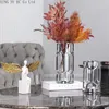 Vases nordique argent Vase lumière luxe métal Transparent verre ornements salon Arrangement de fleurs dispositif hydroponique