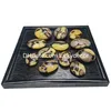 FreeForm Cilalı Madagaskar Dragon Septarian Geode Kristal Taş Sanatlar Doğal Septarium Nodule Kaplumbağa Kabuk Gemstone Palmiye Taşları Anksiyete Stres Rölyef için