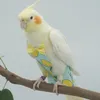 鳥のおむつの柔らかい鳥の飛行は洗える洗える再利用可能なオウムの蝶の装飾通気性のあるペットのおしっこパッド6サイズ