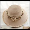 Широкие шляпы Breim Hats Hats, шарфы перчатки мода Aessoriestravelvel Flower Enchellish Водосборное фестиваль пляж лето складной праздник W