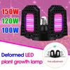 100W 120W 150W LED-Anlage Wachstum Lampe E27 Verformung Falten Wachsen Licht 4 Blätter Rot Blaues Spektrum Phytolampe