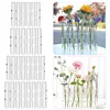 Vaser Nordiskt kreativt glas Vas Clear Test Tube Form Flower inomhus utomhusplanter för hydroponiska växter Desktop Decor 211214