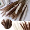 Decorative Flowers & Wreaths 30pc Pampas Grass Natural Dried Bouquet Boho Real Flower Bunch Plants Home Wedding Christmas Party Decorations