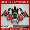 kawasaki ninja ex250 ex-250 zx250 ex zx 250r 08 09 10 11 12 81NO.176 EX250R ZX-250R 2008-2012 ZX250R 2009 2009 2010 2012 OEM 페어링 공장 레드 블크