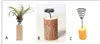 Garden Decorations Iron Air Plant Stand Container Tillandsia Holder Tabletop Pot Display Rack Vase with Wooden Base XB1