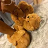 Teddybeer slippers vrouwen schoenen pluizig harige home pluche slides dames schattige wasbeer faux bont flip flops winter warm huis slipper