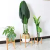 Wooden Plant Flower Pot Rack Free Standing Bonsai Holder Decorantion Solid Wood Scindapsus Shelf For Office Nordic Home Decor Planters & Pot