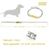 Dog Collars & Leashes Training Collar With ID Tag Snake P Slip Chians Choke Metal Chain For Small Medium Pets 22-30cm Black Gold Silver