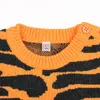 Boys Jumpers Children Soft Kint Tiger Leopard Long Sleeve Toddler Kids Striped Cardigan Baby Girls Sweater Clothes 210417