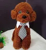 Pet Kravat Yaka Çizgili Sevimli Renkler Köpek Kedi Kravat Elbise Dekorasyon Evcil Hayvan Malzemeleri Suit Küçük Büyük Köpek
