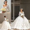 Prinzessin Ballkleid Brautkleider V-Ausschnitt 3D-Applikationen handgemachte Blumenfeder Langarm Brautkleider Puffy Illusion Bride Dress