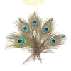10ピーコック羽毛パーティー装飾DIYイヤリングヘッドドレスアクセサリー25-30センチ染め天然羽根家の装飾的な花瓶の配置