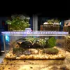HONGYI 1 pièce en plastique transparent insecte reptile élevage boîte d'alimentation grande capacité aquarium habitat baignoire tortue réservoir plate-forme