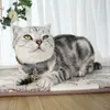 Katthalsar leder krage andningsbar justerbar söt bågeflickan slips med klockor för små medelstora hundar katter inomhus husdjur halsband produkter