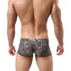 slips leopardo boxer