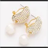 Charm Jewelry Drop Delivery 2021 Exquis Full Diamond Pearl Boucles d'oreilles Alliage Simple Boucle d'oreille Bohême Nnrvq