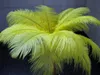 Autres faveurs de mariage en gros beaucoup de belles plumes d'autruche 25-30 cm de table centrale de table de table de table de fête de fête de fête