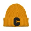 19 Colors Winter Outdoor Couples Hat Candy Color Caps Fashion Spring Sports Beanies Casual Letter C Brand Knitted HipHop hats4201892