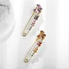 Женщины Rhinstone Crystal Pins Мода Ювелирные Изделия Животные Броши Кребернаторы Уловить Скарф Ославай или Воротник Украшения Аксессуары