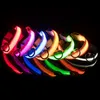 Collari per cani da compagnia Cucciolo collare luminoso a batteria versione Fashion Multi colori per ottie grandi, medie e piccole