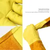 Läder andningsbara Gauntlet -handskar Rose beskärning långärmad för män och kvinnor trädgårdshandske handskträdgårdsgåvor 2111244076068