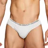 Hommes Mode Bikini Modal Mémoires Sexy Sous-Vêtements Culotte Homme Culotte Gay